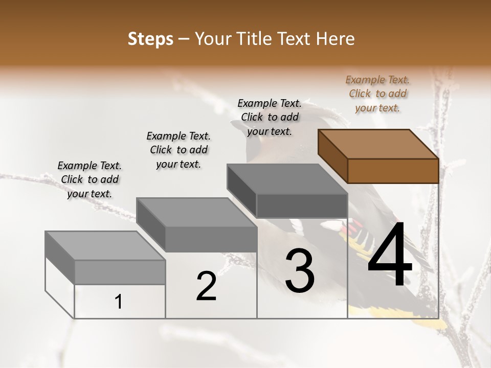 Waxwing PowerPoint Template
