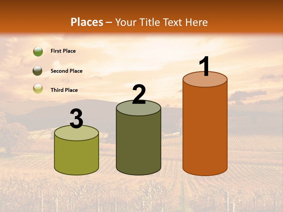 Autumn Sunset Over Vineyard PowerPoint Template