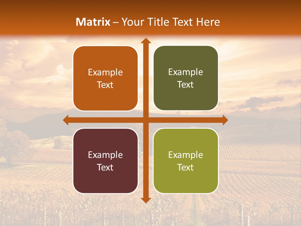 Autumn Sunset Over Vineyard PowerPoint Template