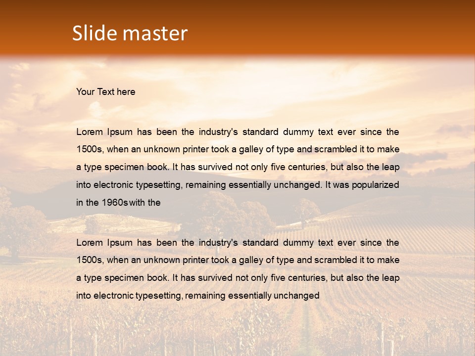 Autumn Sunset Over Vineyard PowerPoint Template
