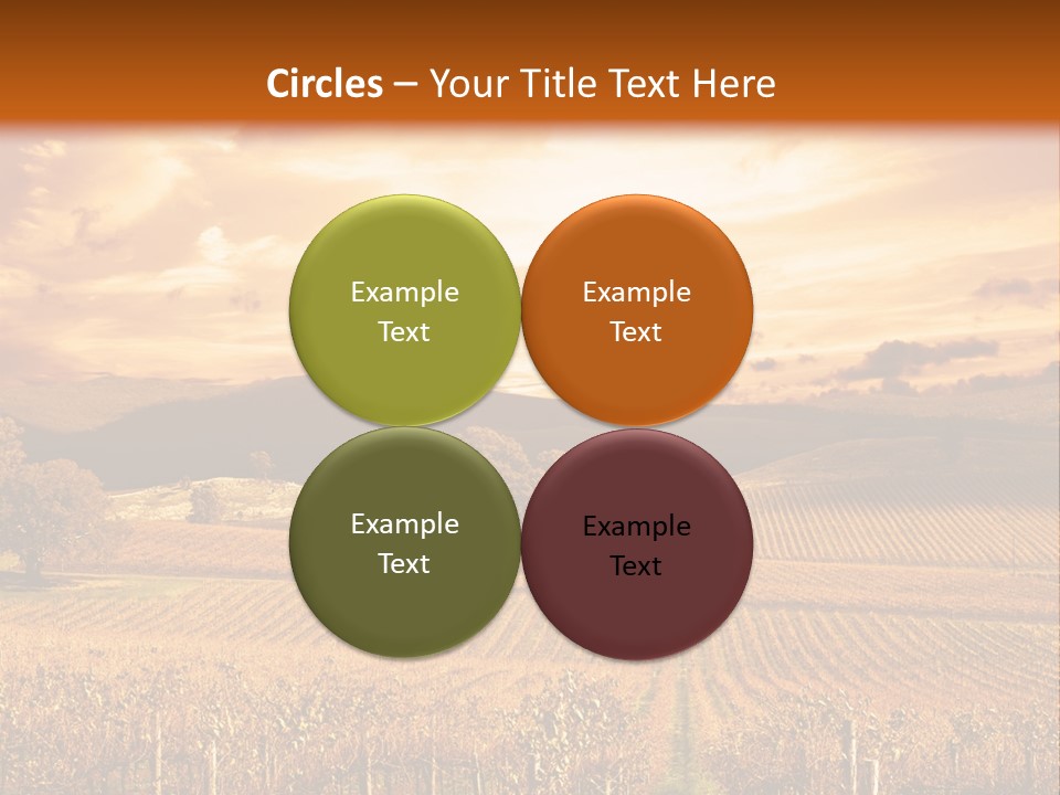 Autumn Sunset Over Vineyard PowerPoint Template