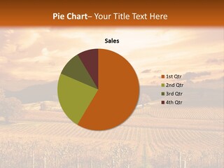 Autumn Sunset Over Vineyard PowerPoint Template