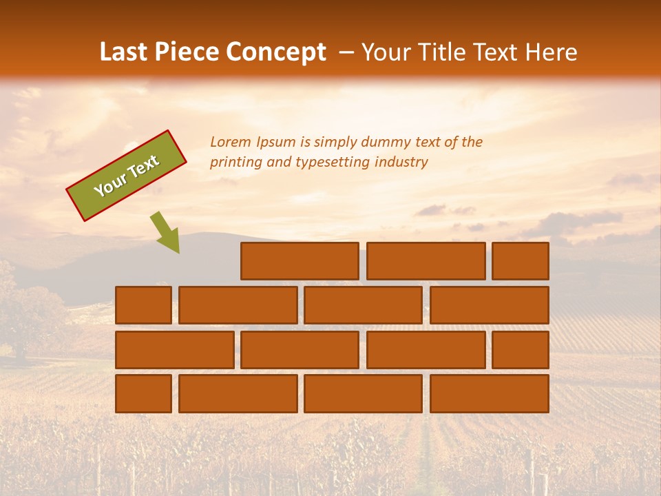 Autumn Sunset Over Vineyard PowerPoint Template