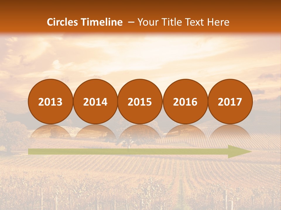 Autumn Sunset Over Vineyard PowerPoint Template