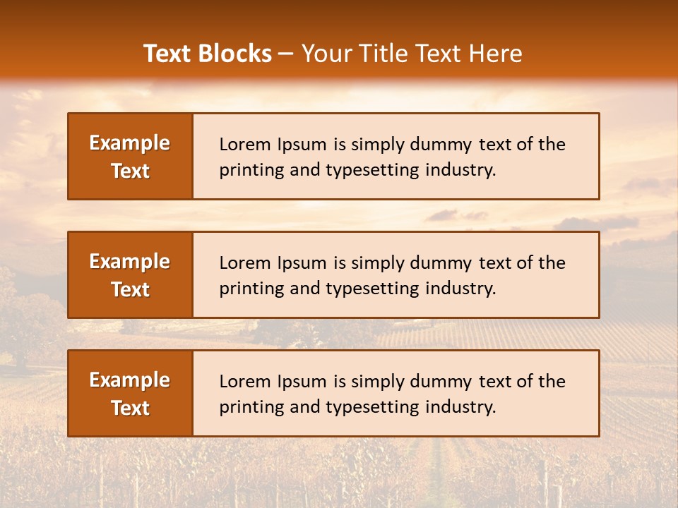 Autumn Sunset Over Vineyard PowerPoint Template