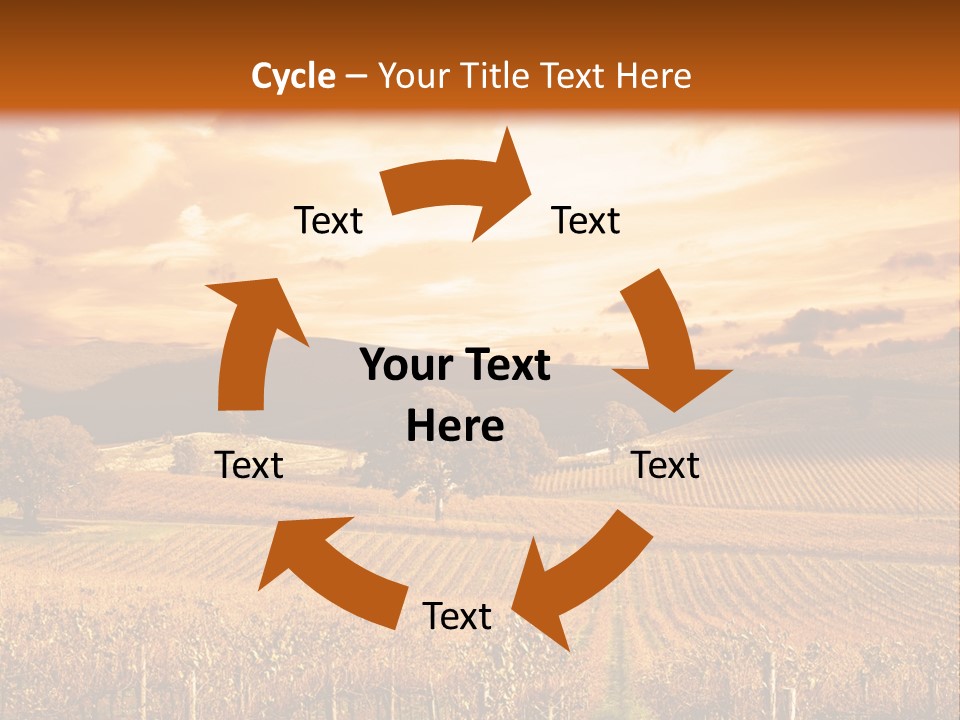 Autumn Sunset Over Vineyard PowerPoint Template