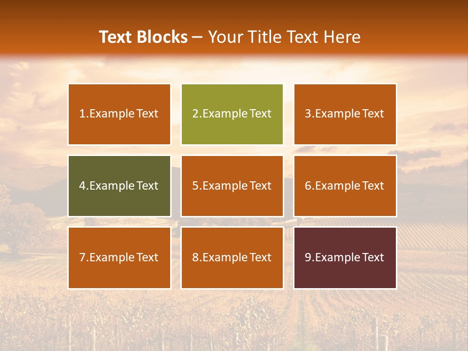 Autumn Sunset Over Vineyard PowerPoint Template