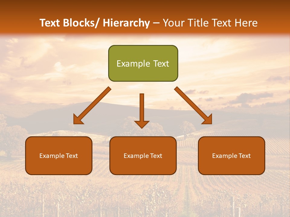 Autumn Sunset Over Vineyard PowerPoint Template