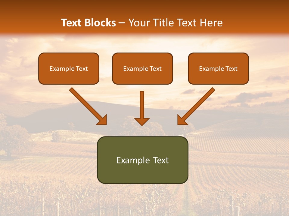Autumn Sunset Over Vineyard PowerPoint Template