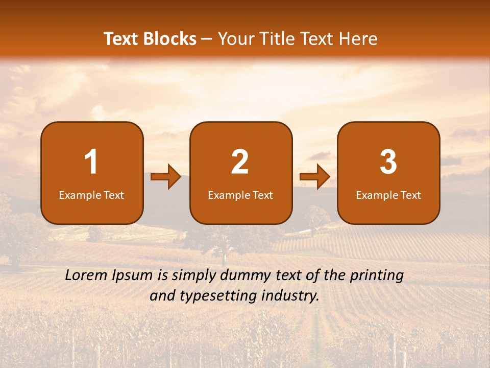 Autumn Sunset Over Vineyard PowerPoint Template