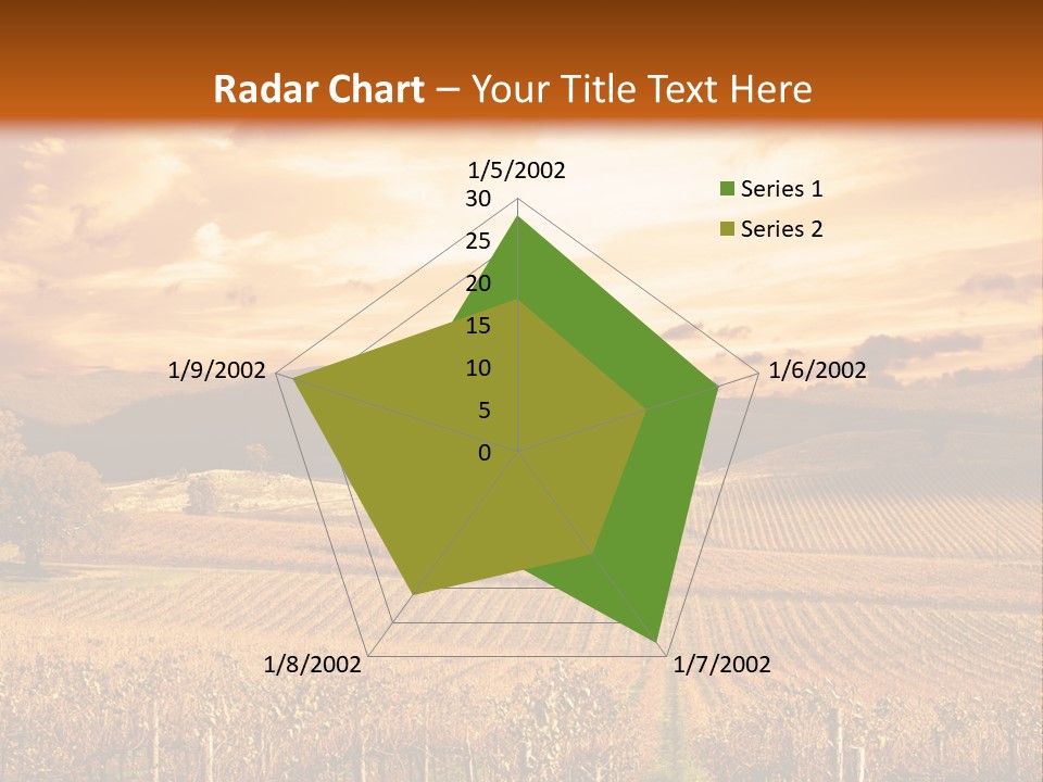 Autumn Sunset Over Vineyard PowerPoint Template