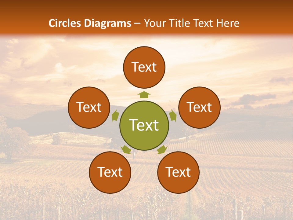 Autumn Sunset Over Vineyard PowerPoint Template