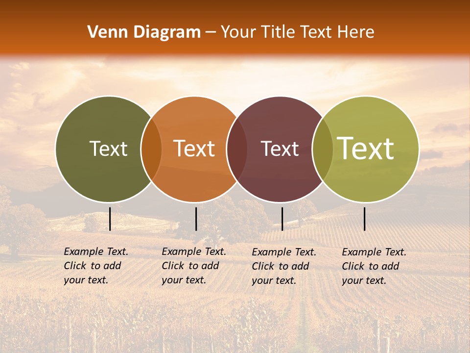 Autumn Sunset Over Vineyard PowerPoint Template