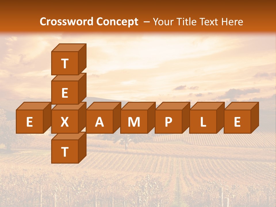 Autumn Sunset Over Vineyard PowerPoint Template