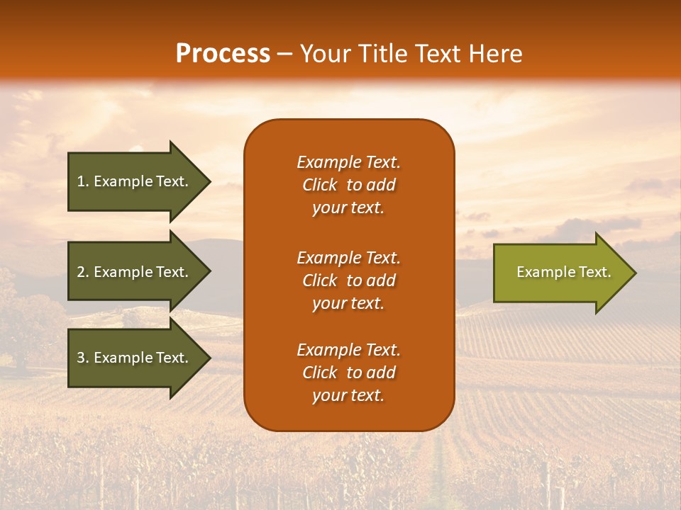 Autumn Sunset Over Vineyard PowerPoint Template
