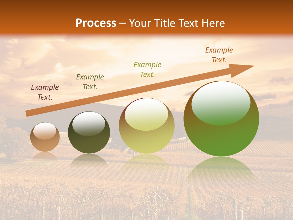 Autumn Sunset Over Vineyard PowerPoint Template