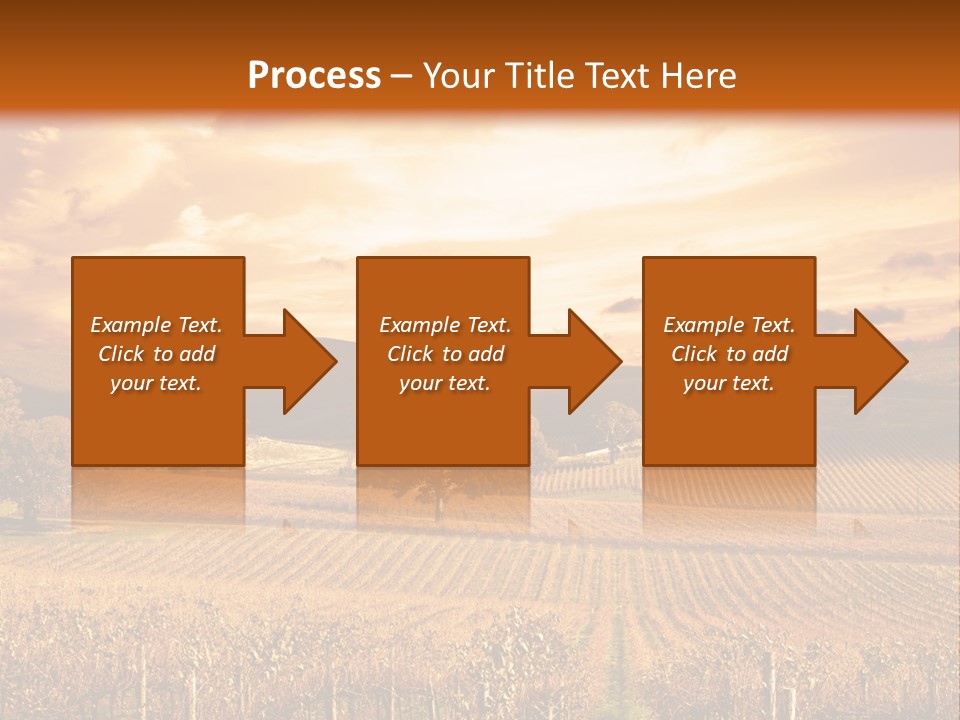 Autumn Sunset Over Vineyard PowerPoint Template