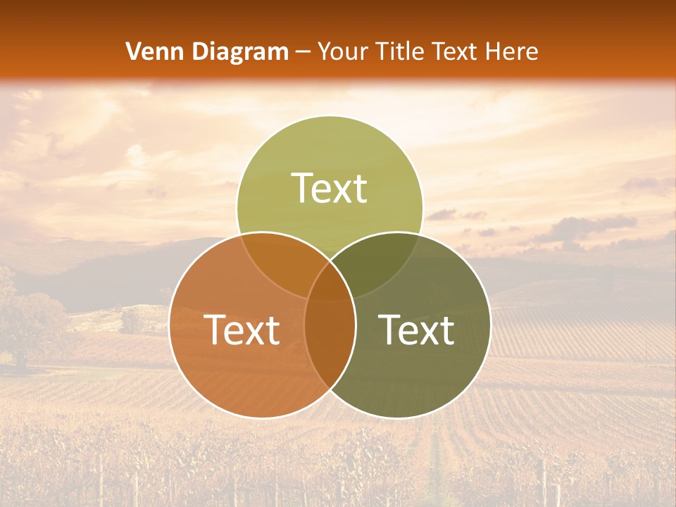 Autumn Sunset Over Vineyard PowerPoint Template