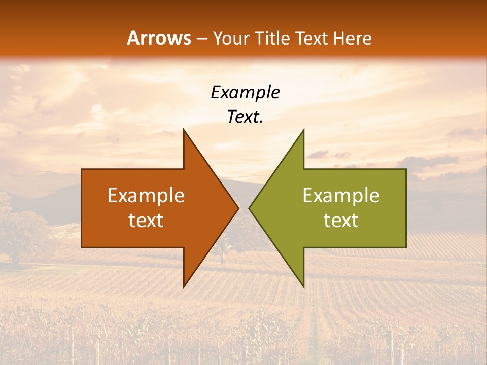 Autumn Sunset Over Vineyard PowerPoint Template