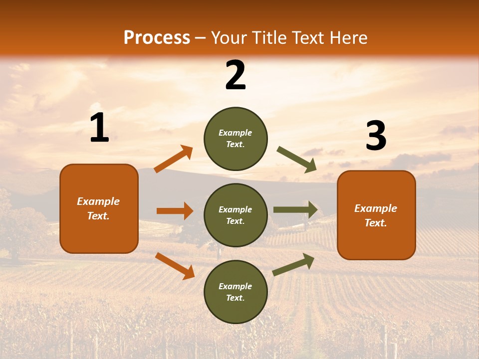 Autumn Sunset Over Vineyard PowerPoint Template