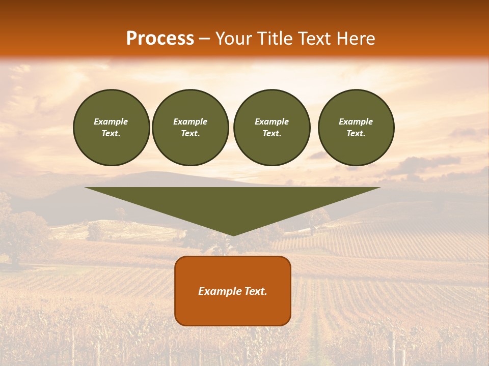 Autumn Sunset Over Vineyard PowerPoint Template