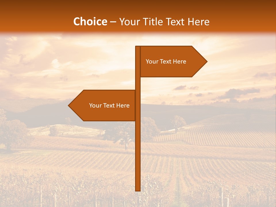 Autumn Sunset Over Vineyard PowerPoint Template