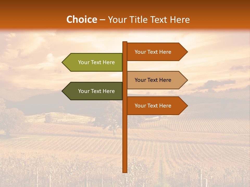 Autumn Sunset Over Vineyard PowerPoint Template