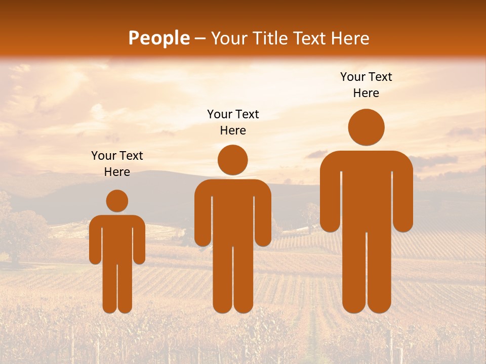 Autumn Sunset Over Vineyard PowerPoint Template