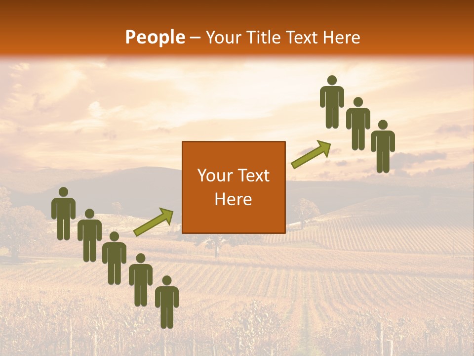 Autumn Sunset Over Vineyard PowerPoint Template