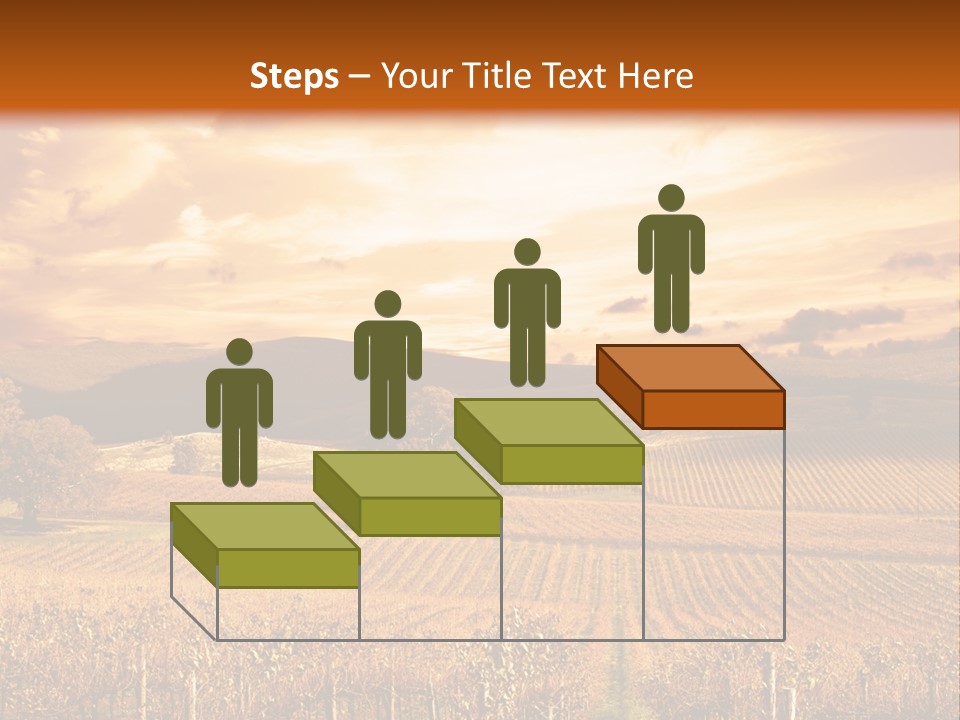 Autumn Sunset Over Vineyard PowerPoint Template