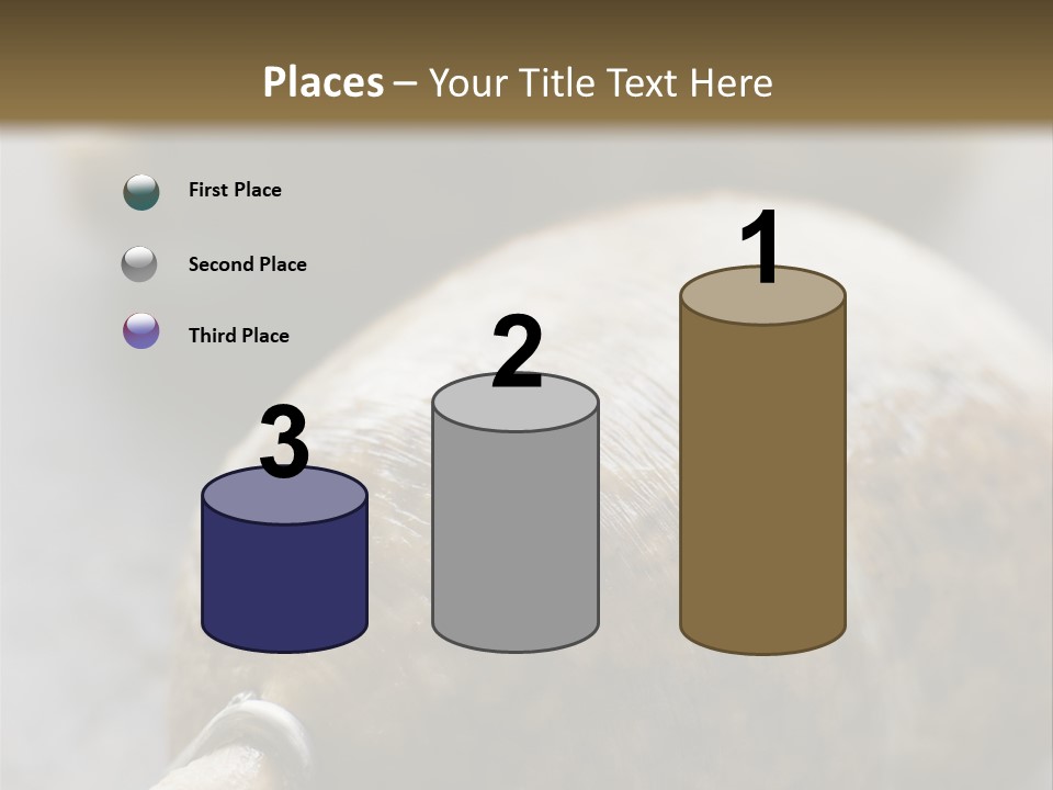 Whole Haggis On A Chopping Board PowerPoint Template