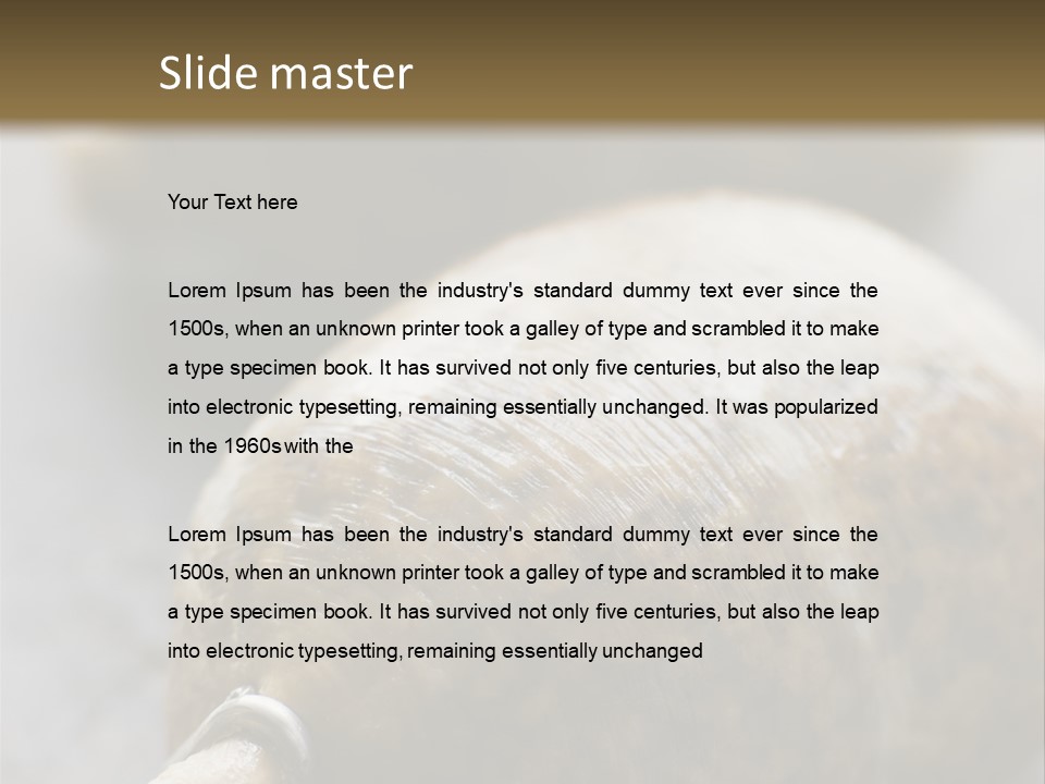 Whole Haggis On A Chopping Board PowerPoint Template