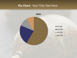 Whole Haggis On A Chopping Board PowerPoint Template