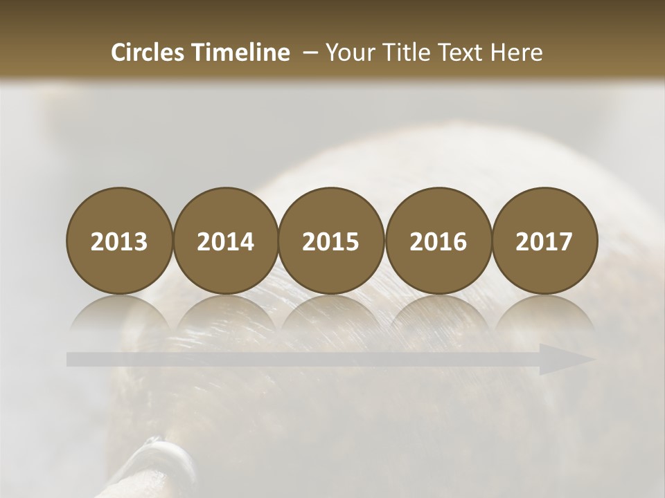 Whole Haggis On A Chopping Board PowerPoint Template