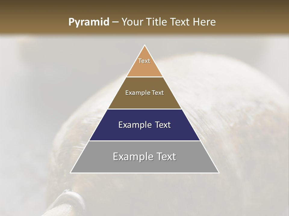 Whole Haggis On A Chopping Board PowerPoint Template
