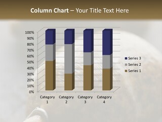 Whole Haggis On A Chopping Board PowerPoint Template