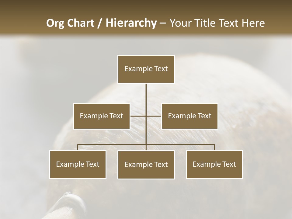 Whole Haggis On A Chopping Board PowerPoint Template