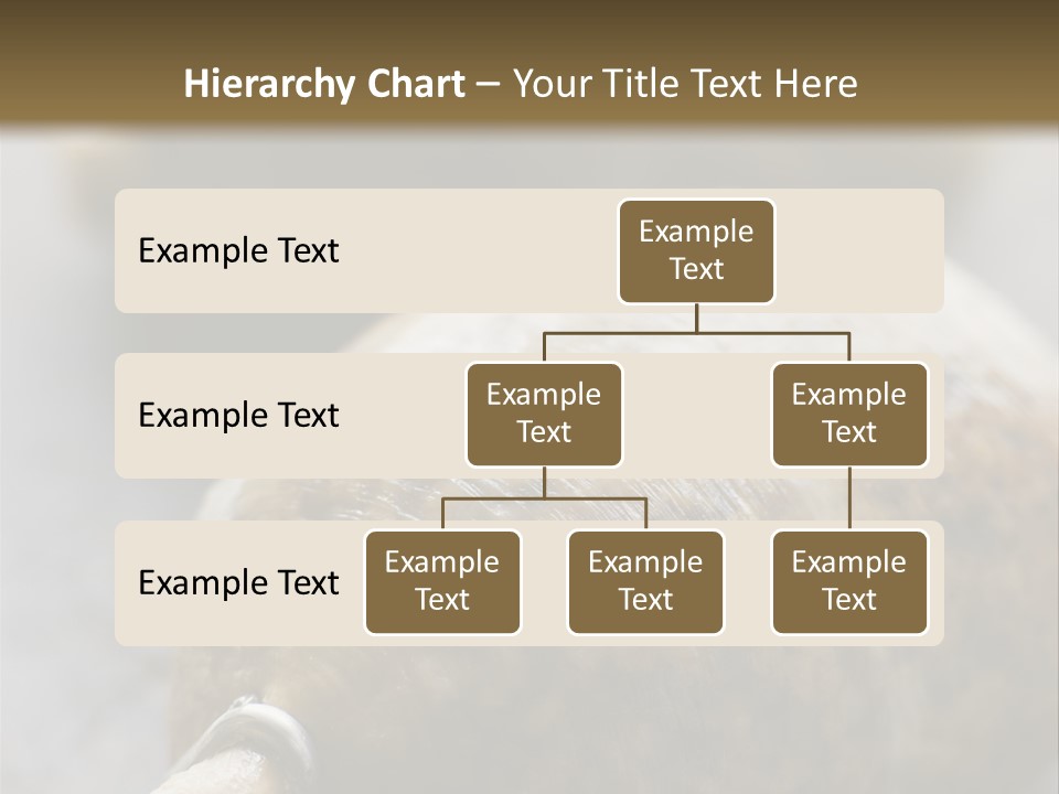 Whole Haggis On A Chopping Board PowerPoint Template