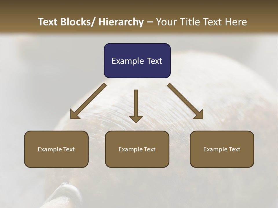 Whole Haggis On A Chopping Board PowerPoint Template