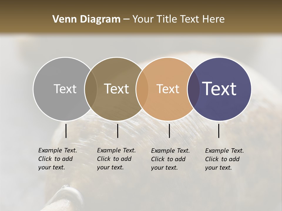 Whole Haggis On A Chopping Board PowerPoint Template