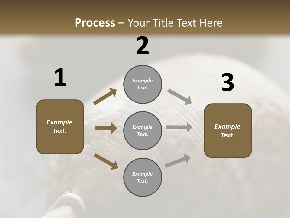 Whole Haggis On A Chopping Board PowerPoint Template
