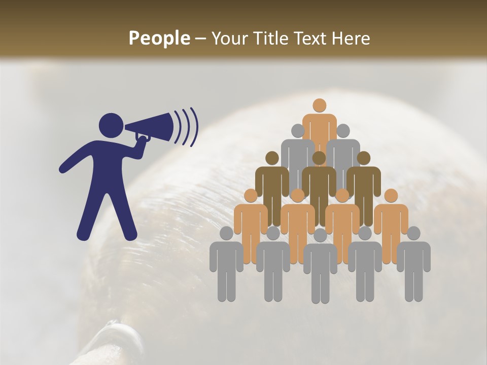 Whole Haggis On A Chopping Board PowerPoint Template