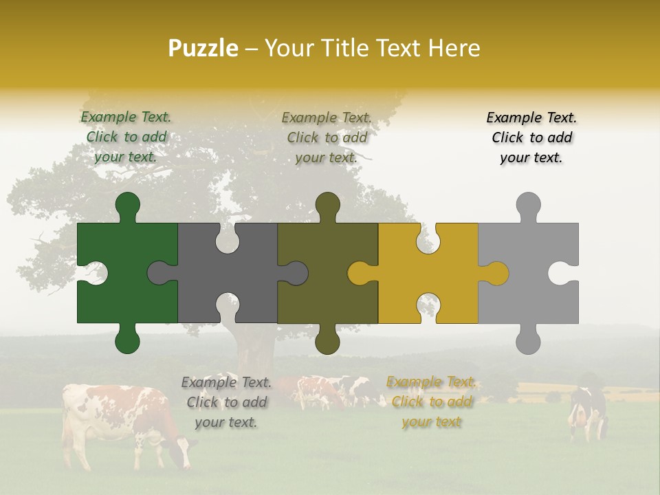 Dairy Cows In Early Morning Mist PowerPoint Template