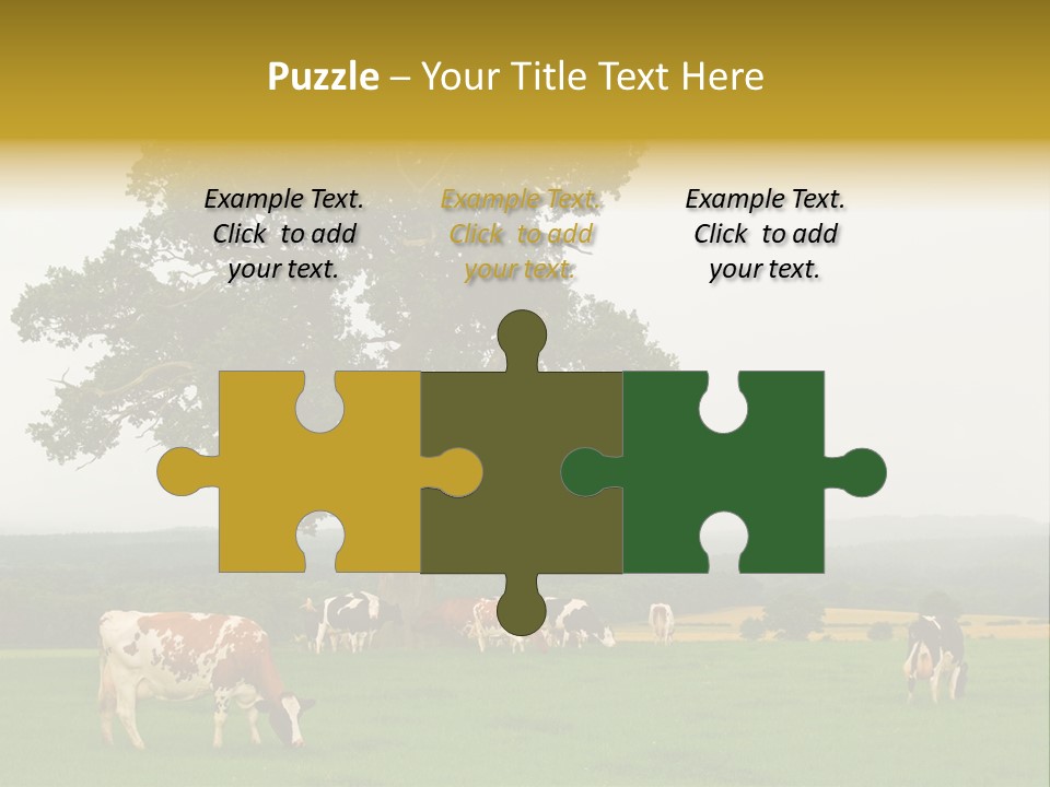 Dairy Cows In Early Morning Mist PowerPoint Template