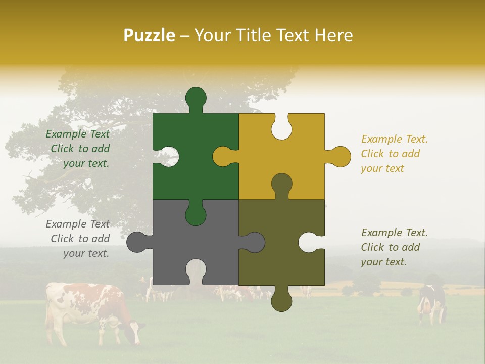 Dairy Cows In Early Morning Mist PowerPoint Template