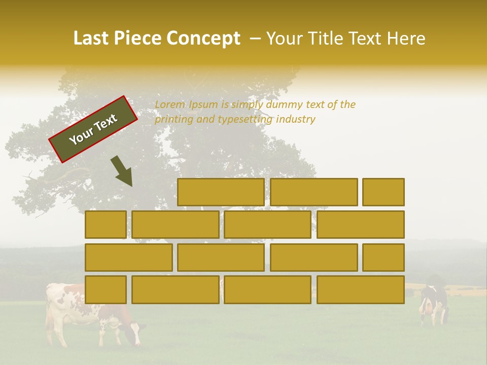 Dairy Cows In Early Morning Mist PowerPoint Template