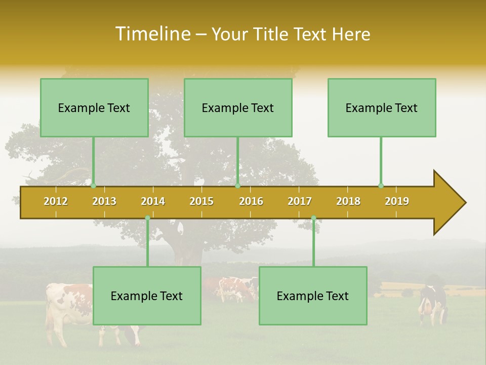Dairy Cows In Early Morning Mist PowerPoint Template