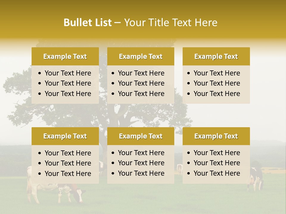 Dairy Cows In Early Morning Mist PowerPoint Template
