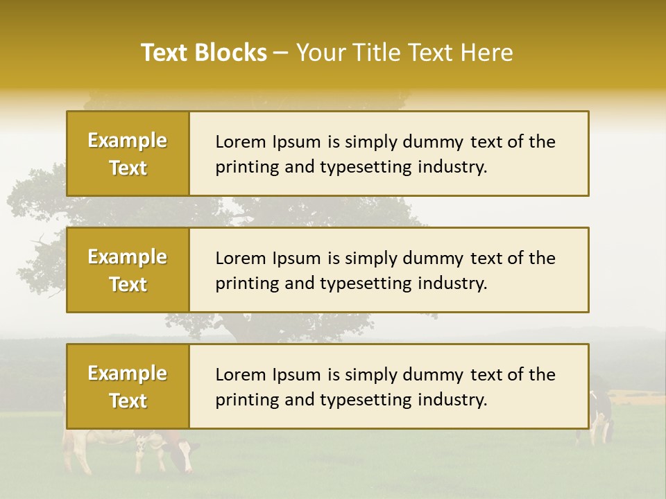 Dairy Cows In Early Morning Mist PowerPoint Template