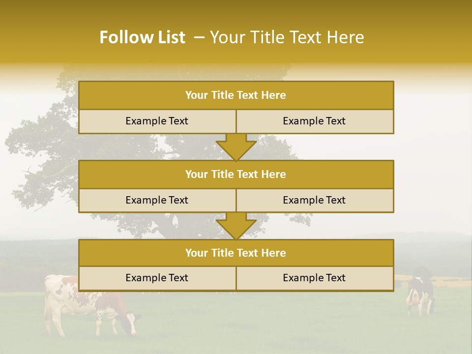 Dairy Cows In Early Morning Mist PowerPoint Template